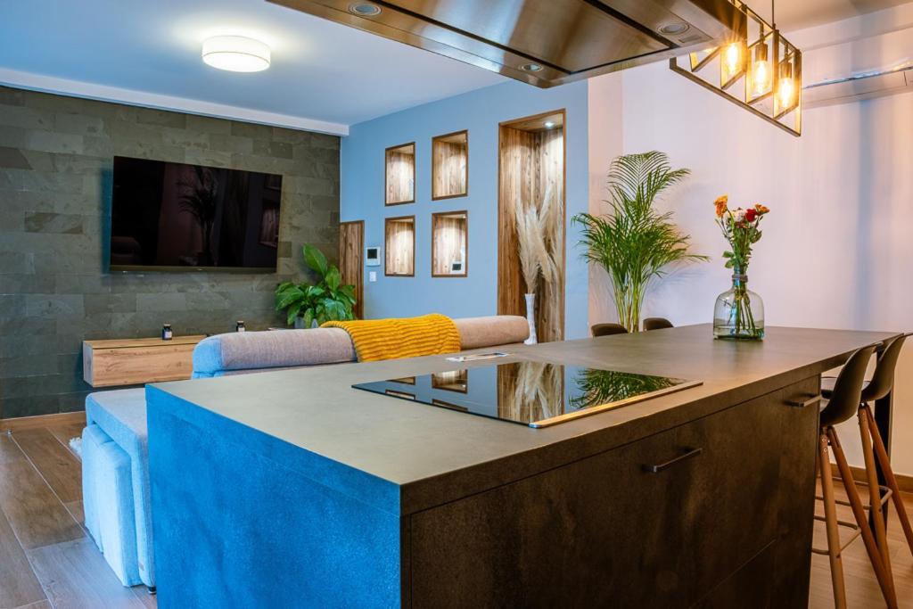 Appartement Cosy Jardin Et Terrasse 斯特拉斯堡 外观 照片